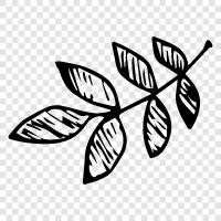 foliage, growth, leaves, blades icon svg