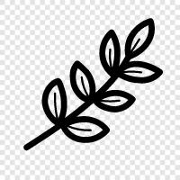 foliage, tree, branch, twig icon svg