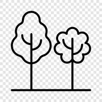 foliage, leaves, bark, branches icon svg