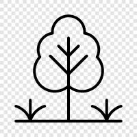 foliage, plants, trees, flowers icon svg