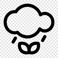 forecast, temp, rain, snow icon svg