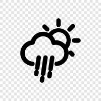 forecast, news, temperature, precipitation icon svg