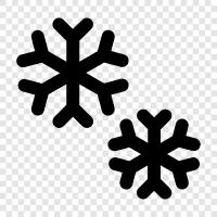 forecast, winter, snowstorm, blizzard icon svg