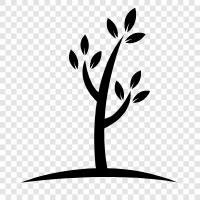 forest, branch, leaves, bark icon svg