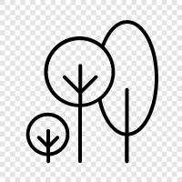 forest, foliage, leaves, arbor icon svg