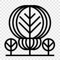 forest, tree plantation, tree farming, forestry icon svg