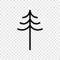 Forest, Wood, Arbor, Foliage icon svg