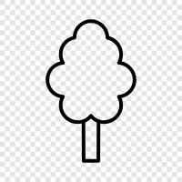 Wald, Umwelt, Grün, Nachhaltigkeit symbol