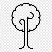 Forest, Wood, Arbor, Branch icon svg