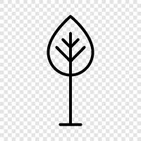 forest, leaf, branch, trunk icon svg