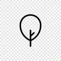 Wald, Schnittholz, Holz, Plantage symbol