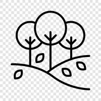 forest, growth, leaves, branches icon svg