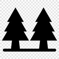 forest, forestry, forest plants, forest trees icon svg