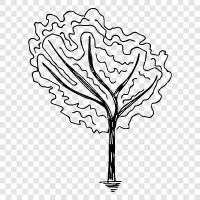 Forest, Wood, Branch, Tree icon svg