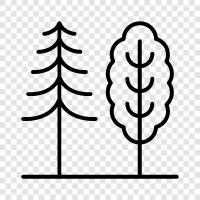 forest, wood, lumber, lumberjacking icon svg