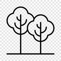 forest, leaves, bark, branches icon svg