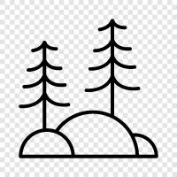 forest, trees, wild, nature icon svg