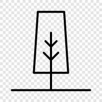 forest, forest ecology, tree growth, tree diseases icon svg