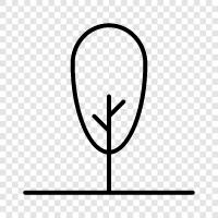 forest, leaves, needles, bark icon svg