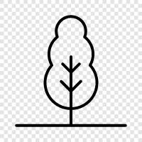 forest, lumber, leaves, branches icon svg