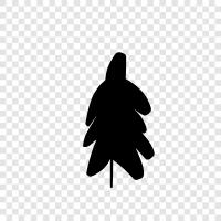 Forest, Arbor, Foliage, Branch icon svg