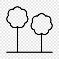 forest, leaves, bark, branches icon svg