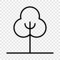 forest, tree, foliage, leaves icon svg