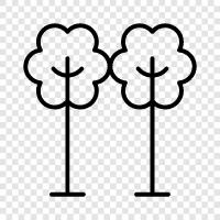 forest, sapling, lumber, leaves icon svg