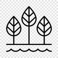 forest, growth, leaves, bark icon svg