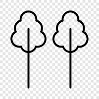 Forest, Foliage, Leaves, Branch icon svg