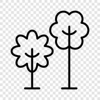 Forest, Leaves, Branches, Height icon svg