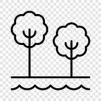 forest, leaves, bark, branches icon svg