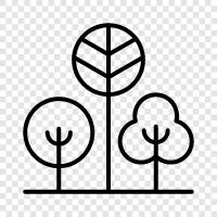 forest, leaves, needles, bark icon svg