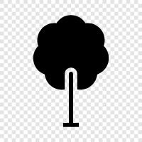 forest, leaves, bark, branches icon svg