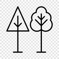 forest, leaf, bark, branch icon svg