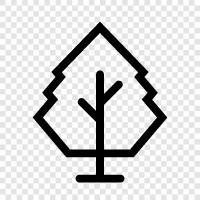 forest, lumber, wood, growth icon svg