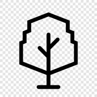 Forest, Bush, Wood, Plant icon svg