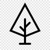 forest, growth, leaves, branches icon svg