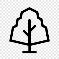 Forest, Bush, Shrub, Plant icon svg