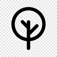 forest, lumber, wood, growth icon svg