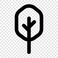 Forest, Bush, Foliage, Branch icon svg