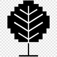 forest, growth, nature, forestry icon svg