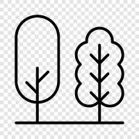 Forest, Plant, Wood, Trunk icon svg