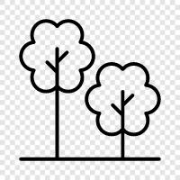 forest, foliage, leaves, bark icon svg