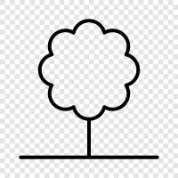 Forest, Nature, Environment, Arbor icon svg