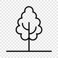 Forest, Fungus, Sap, Bud icon svg