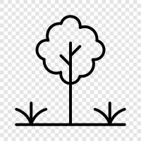 Forest, Nature, Growth, Wood icon svg