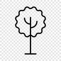 Forest, Foliage, Leaves, Branches icon svg