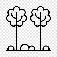 forest, leaves, bark, branches icon svg