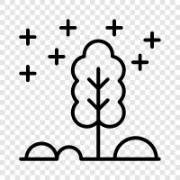 Forest, Wood, Branches, Roots icon svg